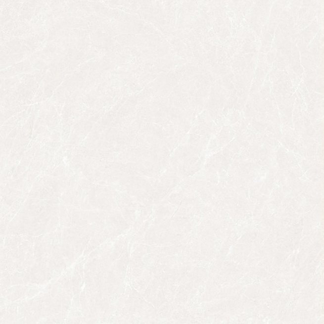 HPL80007
