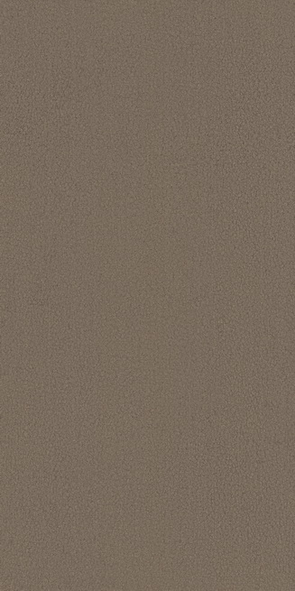 和记官网陶瓷-HFU1890006星木棕