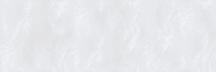 和记官网陶瓷-HPG80442
